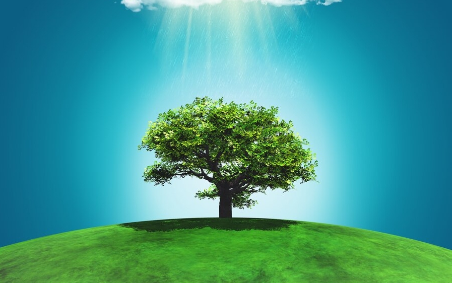 为何越来越多的人选择购买生前契约？