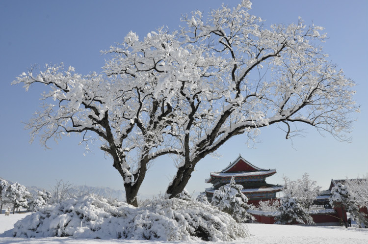 天寿陵园雪景