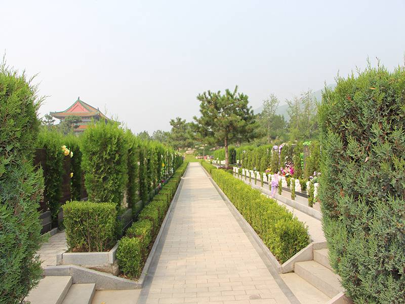 墓地绿化