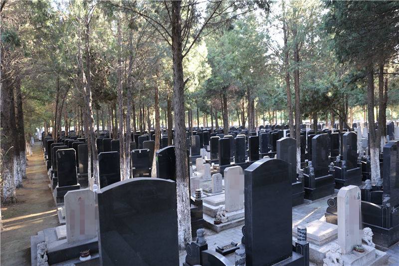 通惠墓地随拍