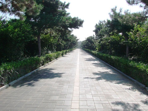 朝阳陵园道路