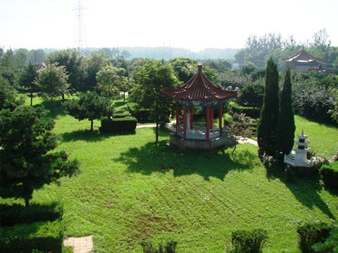 朝阳陵园环境