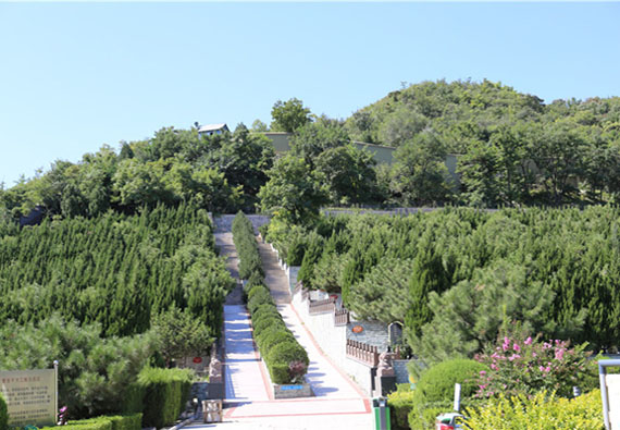 温泉墓园山势