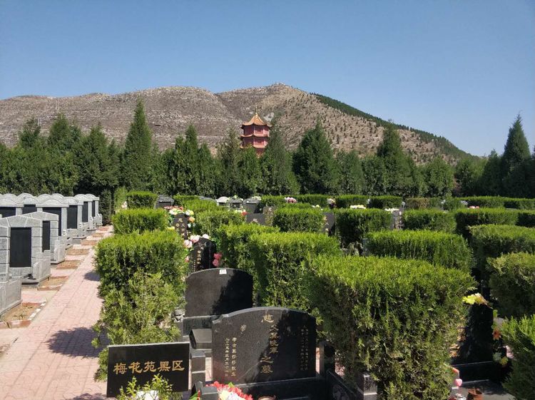 皇家龙山陵园环境