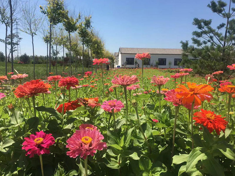 清颐园公墓随拍