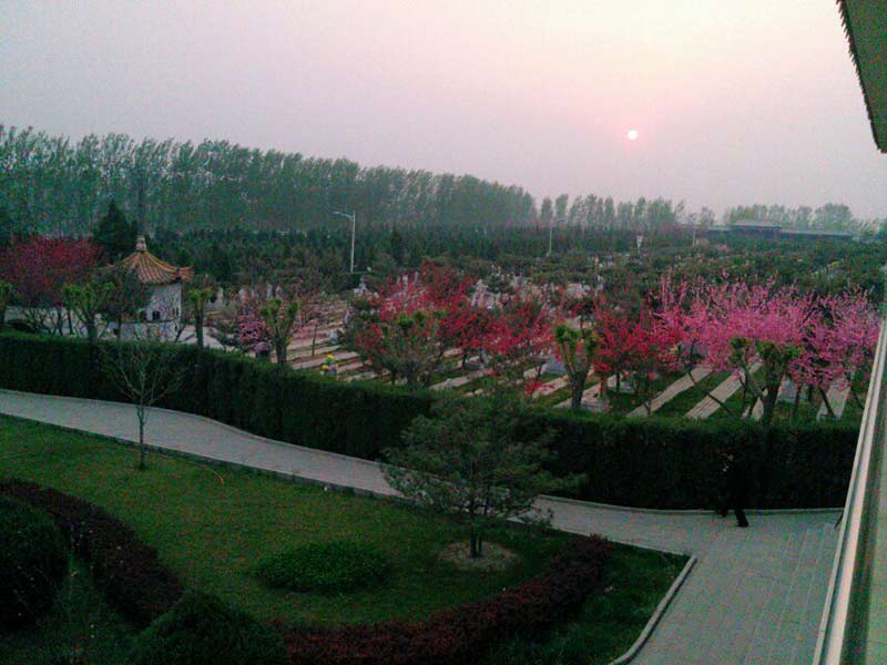 高静园黄昏景色