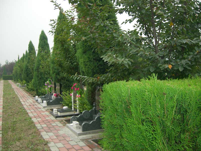 高静园公墓随拍
